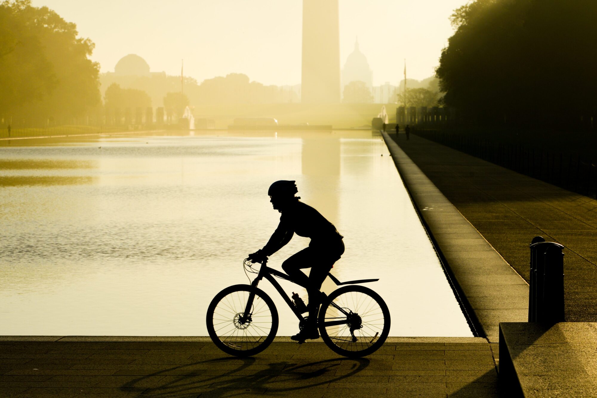 Person riding a bicycle through a park